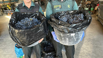 Robo de Uva en Briones