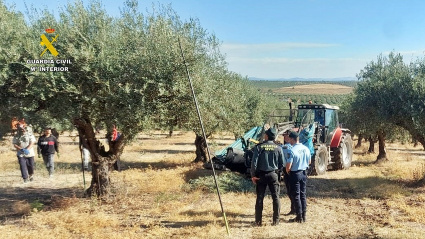 Guardia Civil, en un olivar
