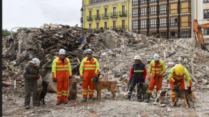 Miembros de la Unidad Canina de Rescate, con los perros, en un trabajo reciente