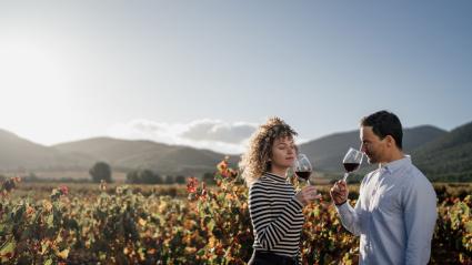 Viñedos de Bullas, Turismo Región de Murcia