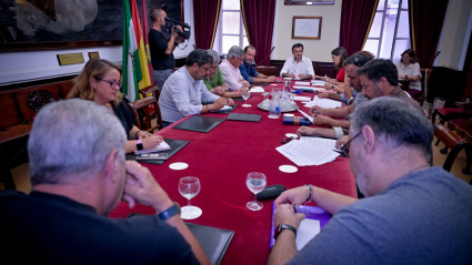 Consejo de participación del COAC