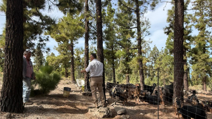 WhatsApp Image 2025-10-28 at 10.19.22