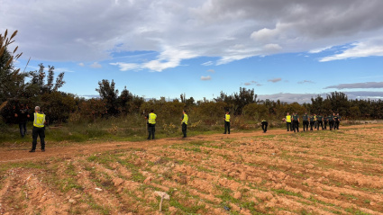 El equipo de búsqueda de la Guardia Civil, en posición para peinar la zona