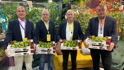 La "fórmula" de Cooperativa La Palma que cosecha un nuevo premio a su innovación