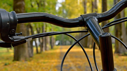 El ejercicio moderado —caminar, montar en bici o practicar yoga— activa la circulación y fortalece tu sistema inmunológico