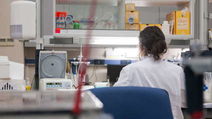 (Foto de ARCHIVO)Trabajo científicoEUROPA PRESS/JUNTA DE ANDALUCÍA12/9/2016