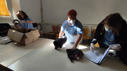 Varios miembros del Taller de Empleo realizando el inventario de objetos en dependencias municipales