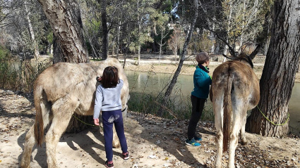 Dos niños en plena actividad