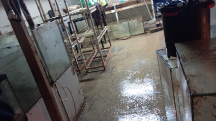 Así estaba Peixos Valencia días después de la dana