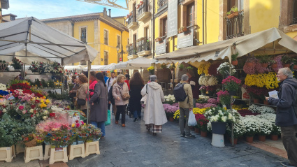 Clientes acercándose a los puestos de flores del Fotán