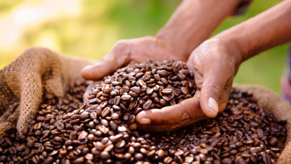 El café es uno de los productos cuya producción más desigualdades produce
