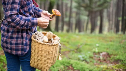Estela Etayo, responsable de Comunicación de Fundación Caja Rioja, explica en COPE las actividades para las próximas semanas