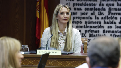 Claudia Montes, en su comparecencia en el Senado