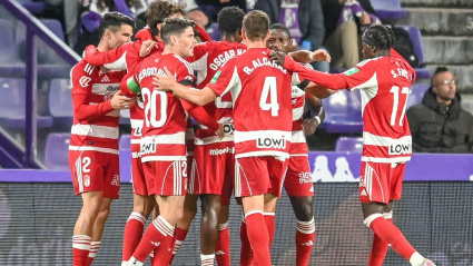 Los jugadores del Granada celebran el gol de Jorge Pascual