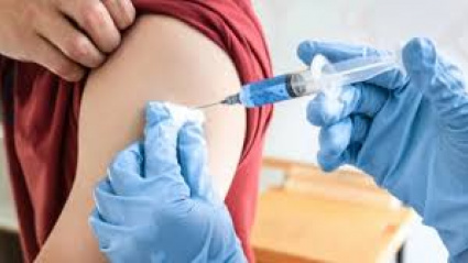 Vacuna frente a la gripe