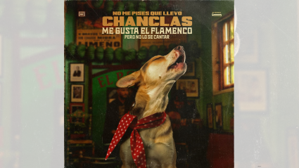 Portada -Me gusta el flamenco pero no no lo sé cantar-