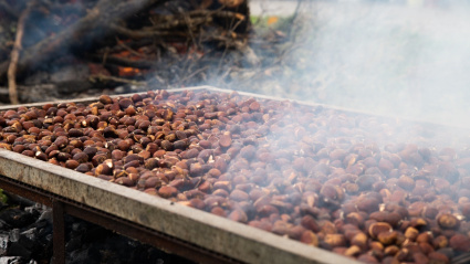 Las castañas protagonizan la fiesta este fin de semana en la provincia de Ourense