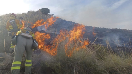 Personal de los servicios de emergencias durante la extinción del incendio forestal en Zarcilla de Ramos