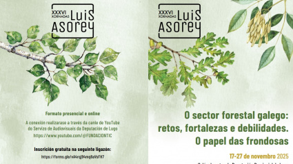 El programa de las jornadas Luis Asorey se centra en temas de actualidad como la moratoria en la plantación de eucaliptos, recientemente ampliada por la Xunta