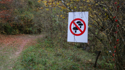 critica la creencia popular de que "el bosque es de todos", recordando que "el 76% de los bosques catalanes son privados"