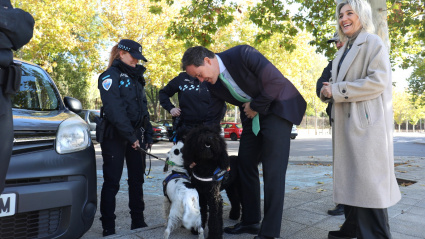 Policía Local de Toledo