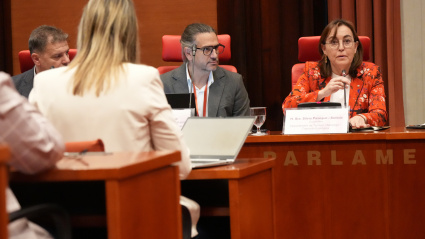 Estos trabajos se enmarcan en la publicación de la Avaluació Preliminar del Risc d'Inundació (APRI)