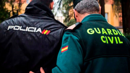 Un agente de la Policía Nacional y uno de la Guardia Civil.REMITIDA / HANDOUT por GUARDIA CIVILFotografía remitida a medios de comunicación exclusivamente para ilustrar la noticia a la que hace referencia la imagen, y citando la procedencia de la imagen en la firma13/11/2025
