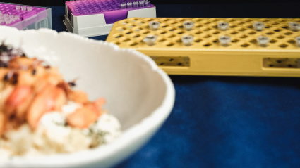 Tubos de ensayo del proyecto EyeFishTrack