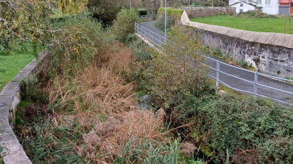 Estado del río Basteiro en la localidad de Neda