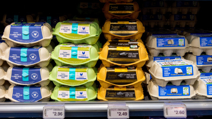 Cajas de huevos en un supermercado