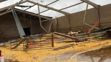 Daños Huerto Ramírez