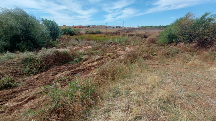 Zona del arroyo El Charnecal, cerca del parque de las Mercedes, por donde la riada llega a Almendralejo