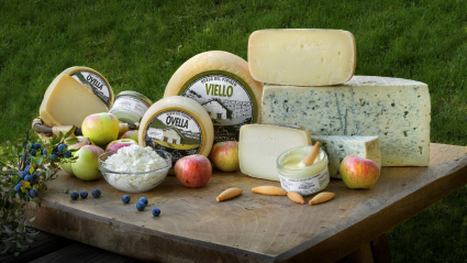 Quesos artesanos producidos en esta quesería de montaña