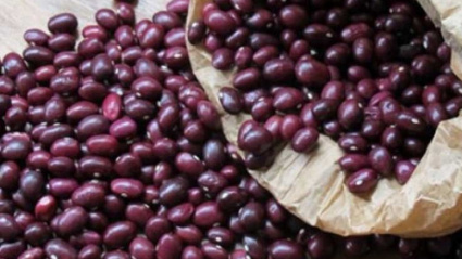 DOP Alubia de Anguiano