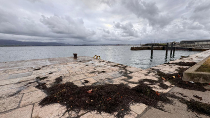 Restos de caloca en Santander