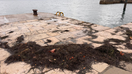 Restos de caloca en Santander