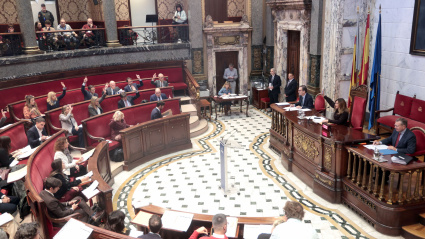 Pleno del Ayuntamiento. Sesión ordinaria del mes de noviembre.