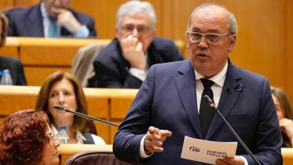 Juan Serrano durante su interpelación al ministro en el Senado
