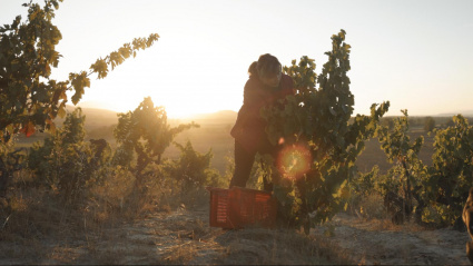 El legado de Berta Valgañón en La Rioja Alta