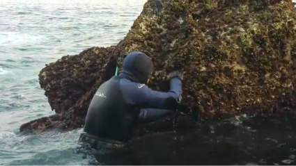 Carlos Pardo faenando en aguas de Cariño