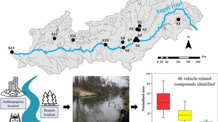Durante tres años se han recogido muestras en diferentes puntos del rio Tajo