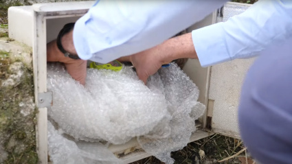 Imagen proporcionada por el Canal Isabel II