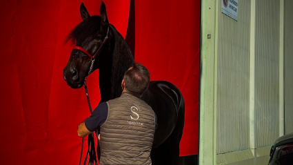 Emilio Santos, jinete de la Yeguada Vinyet