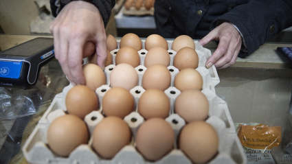 Huevos, a 20 de noviembre de 2025, Madrid