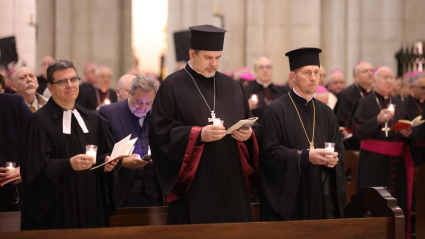 54936592781_ff3c30737c_k