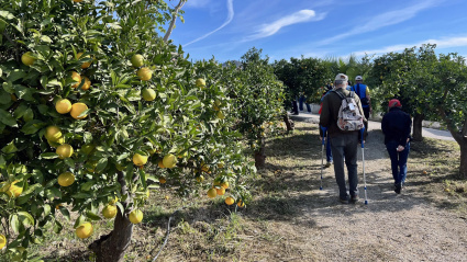 Un paseo por la finca