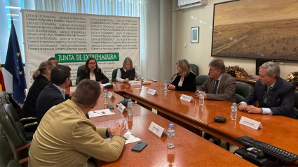 El convenio de actuación se ha suscrito hoy entre la Junta, la Diputación y ACUAES