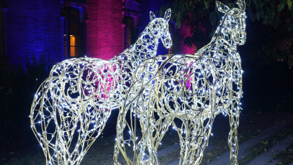 uno de los mayores encantos de la visita es, precisamente, la iluminación de las fachadas