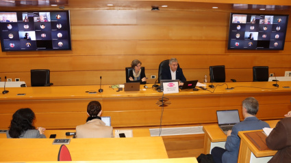 Consello Goberno de la Universidade da Coruña