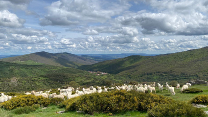 Curso de la Escuela de Pastores